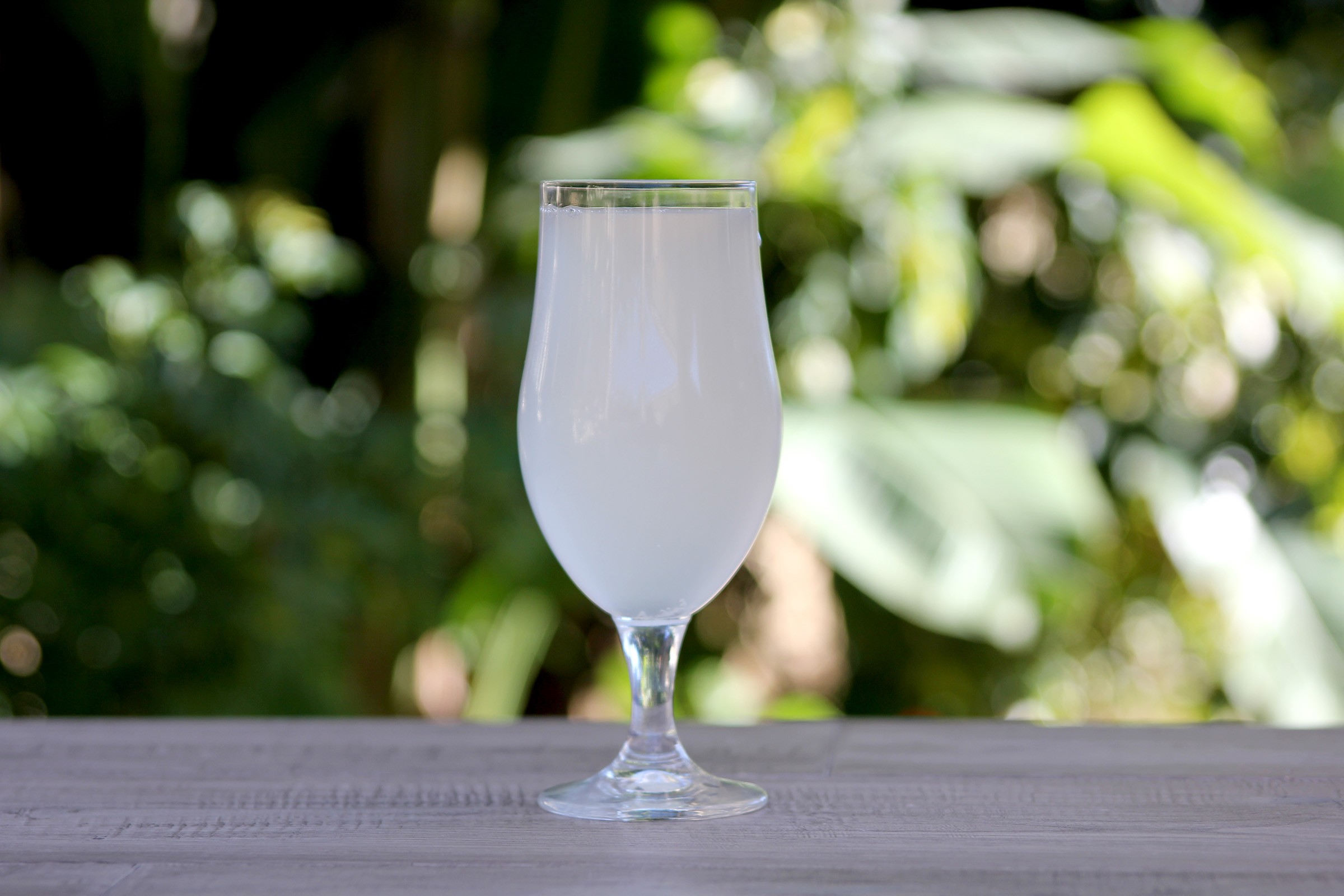 Homemade Hard Seltzer