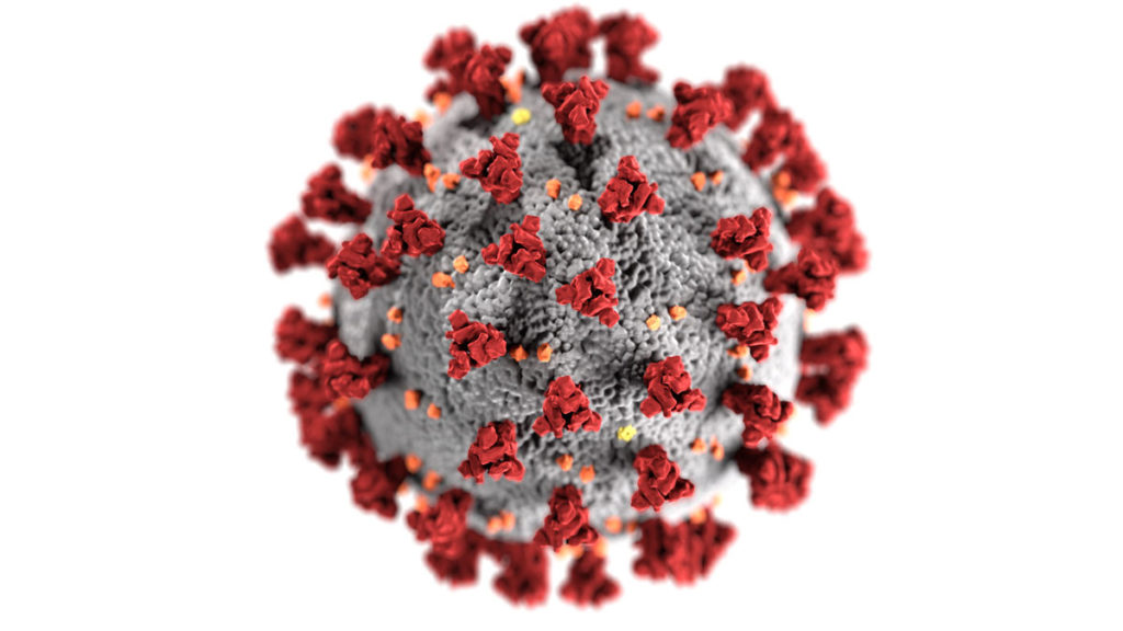 Coronavirus / COVID-19 Updates