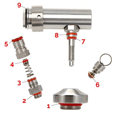 Complete Gasket Kit for Mini Keg Dispenser Cap / 